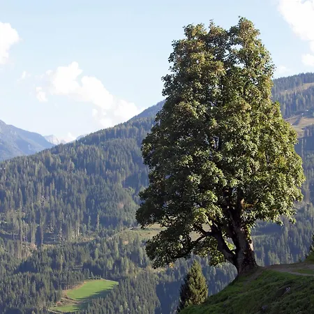 In Near Slopes, Cleaning Included * Wagrain