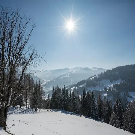 In Near Slopes, Cleaning Included Apartment Wagrain