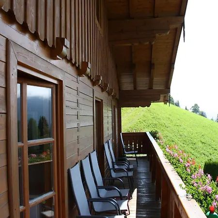 Apartment In Near Slopes, Cleaning Included *